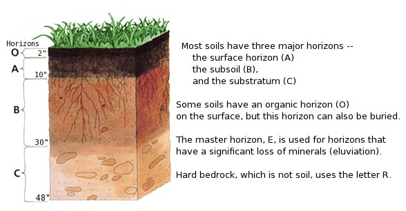 Soil_profile_horizons